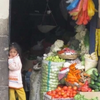 p09_market2