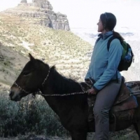 p09_wajrahorses