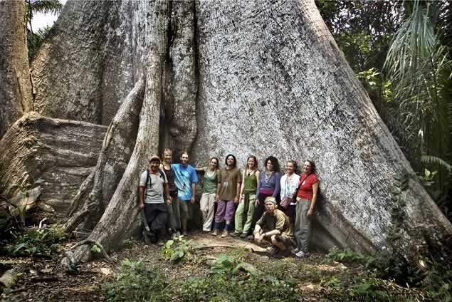 p09_junglepilgrims