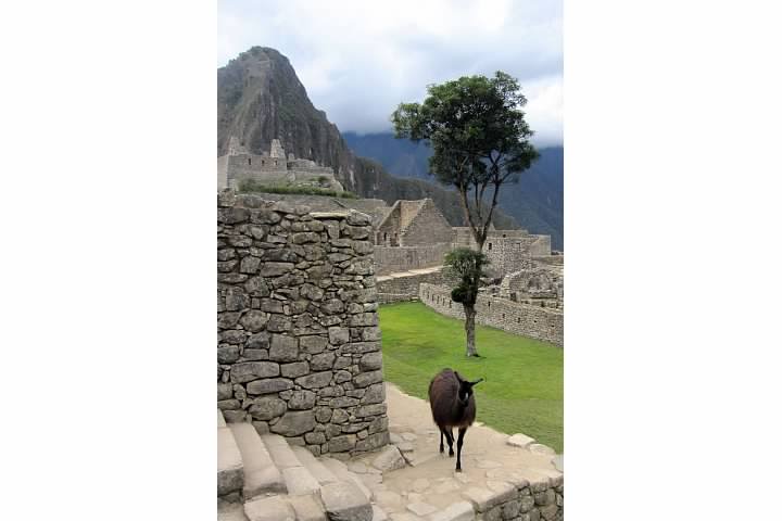 P12_MachuPiechu7
