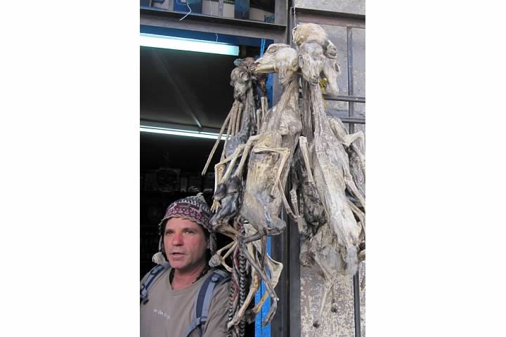 P12_MercadoShaman