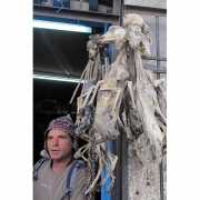 P12_MercadoShaman
