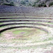 P12_Moray1