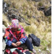 P12_MtVeronicaShaman